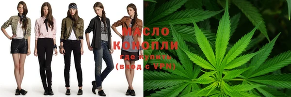 МДПВ Дмитриев
