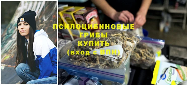 МДПВ Дмитриев