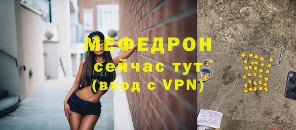 МДПВ Дмитриев