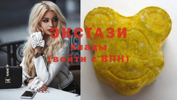 МДПВ Дмитриев