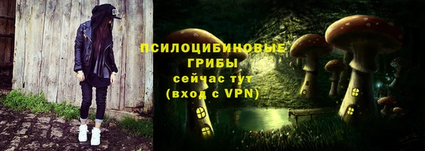 МДПВ Дмитриев